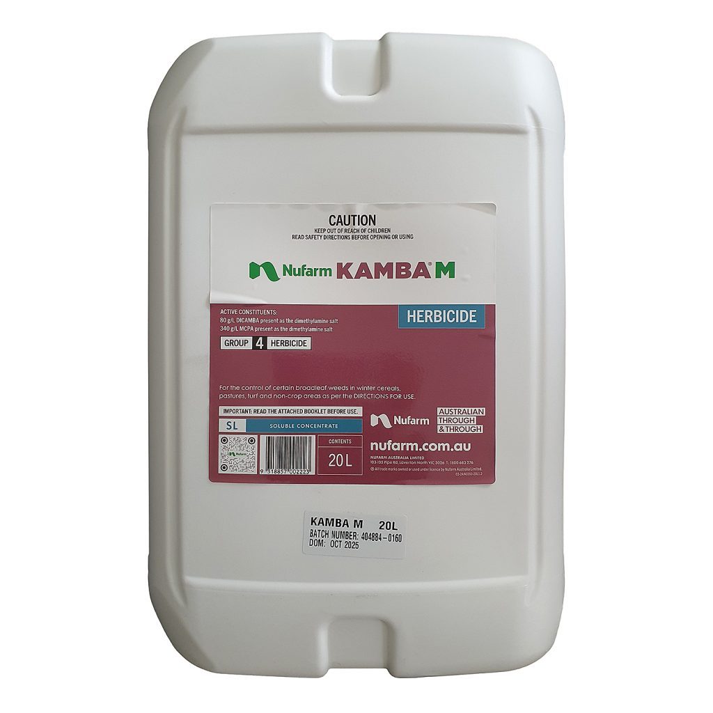 KAMBA M