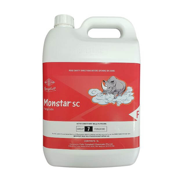 MONSTAR SC
