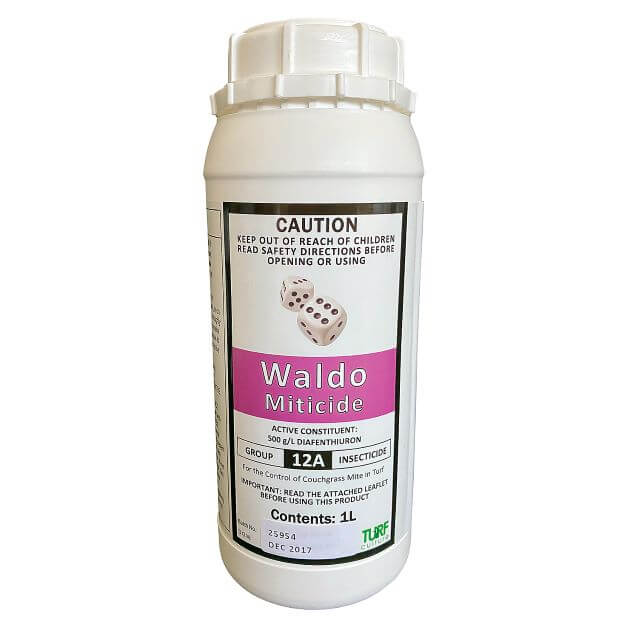 WALDO