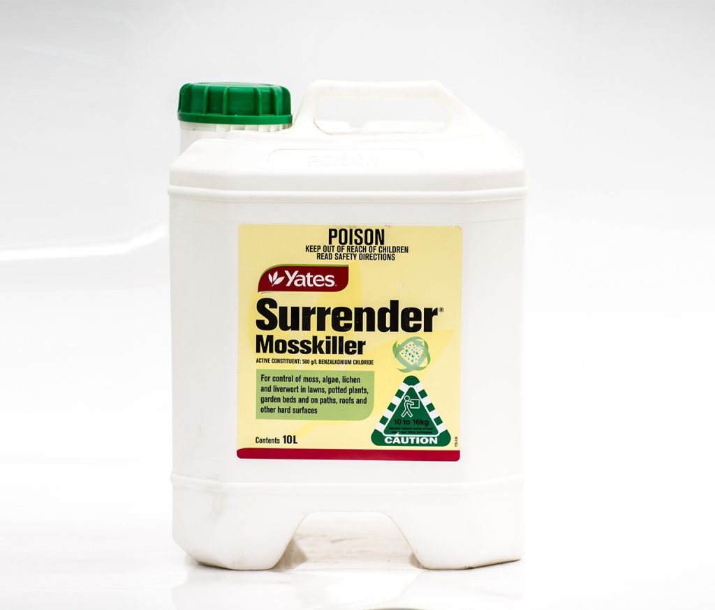 SURRENDER