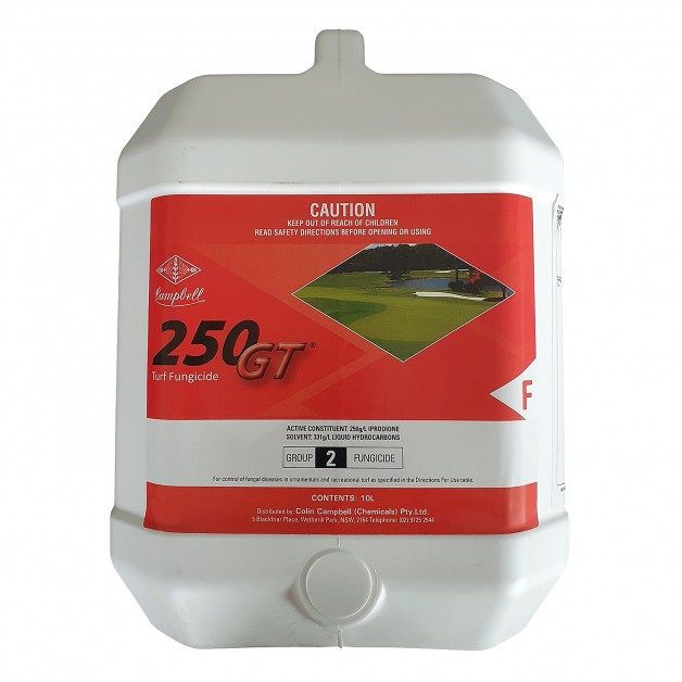 250 GT