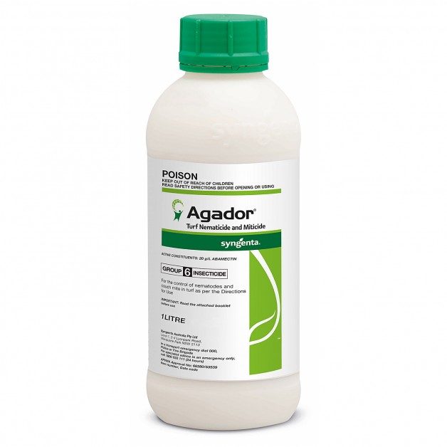 AGADOR - Image 2
