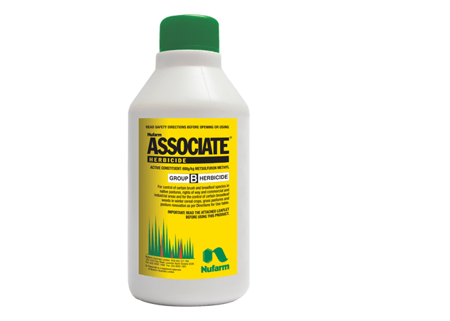 ASSOCIATE