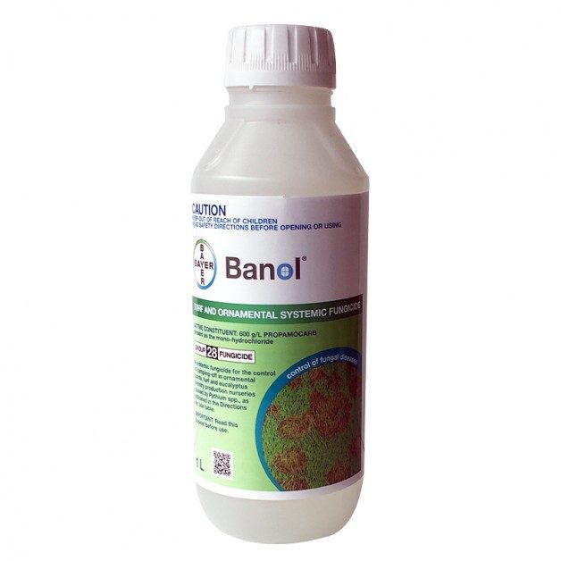 BANOL