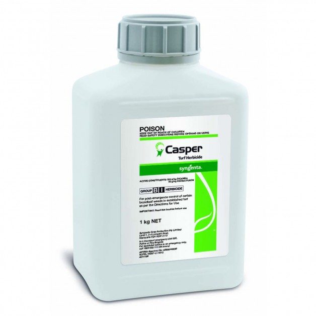 CASPER