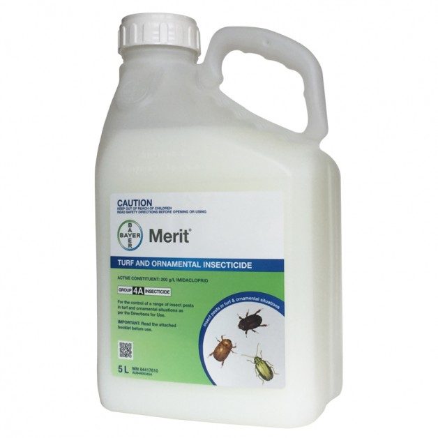 MERIT