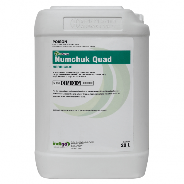 NUMCHUK QUAD