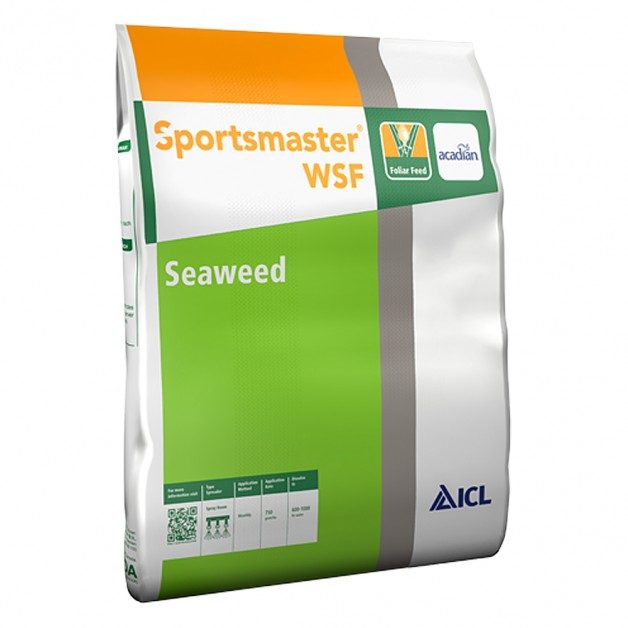 SPORTSMASTER WSF SMX (SEAWEED)