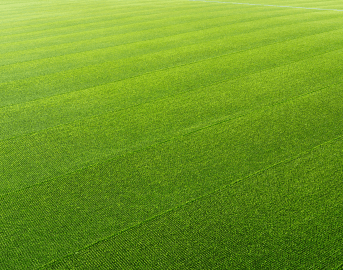 KB-Adams-Professional-Turf-Suppliers